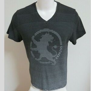 Express Striped Lion V Neck Tee